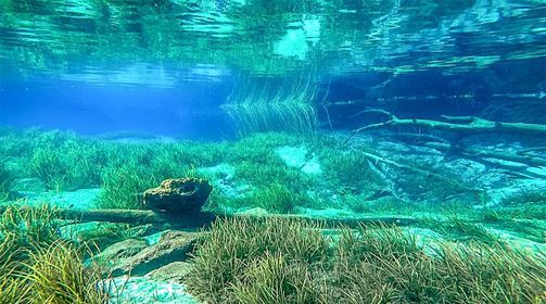 Rainbow River Dive Adventure