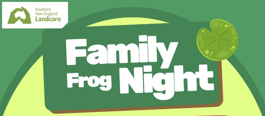 Family Frog Night