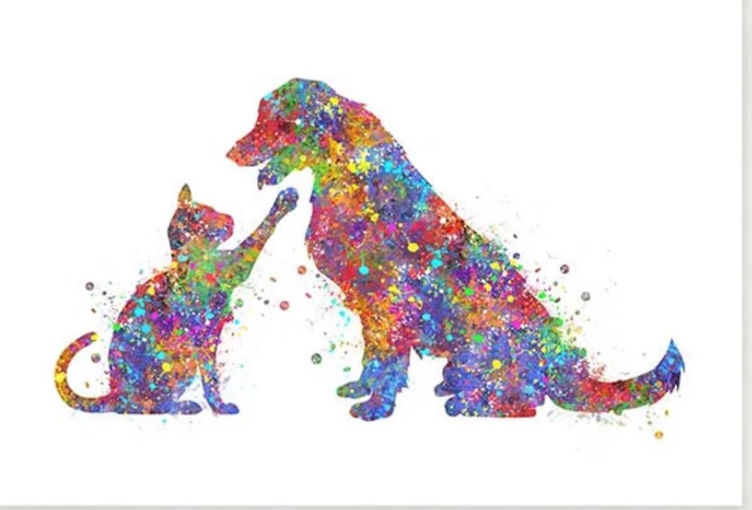 Paint for a purpose and help us save animals 