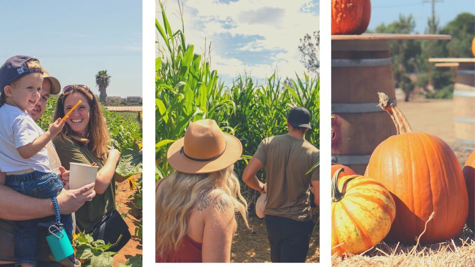 Military Appreciation at Mellano Farm Stand's Fall Festival