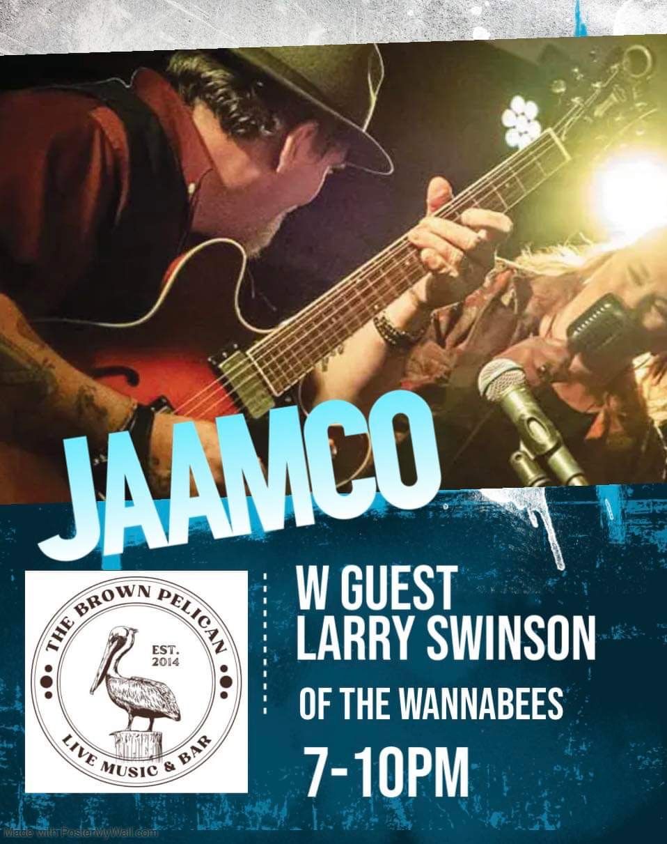 JAAMCO ft. Larry Swinson of The Wannabees at The Brown Pelican!