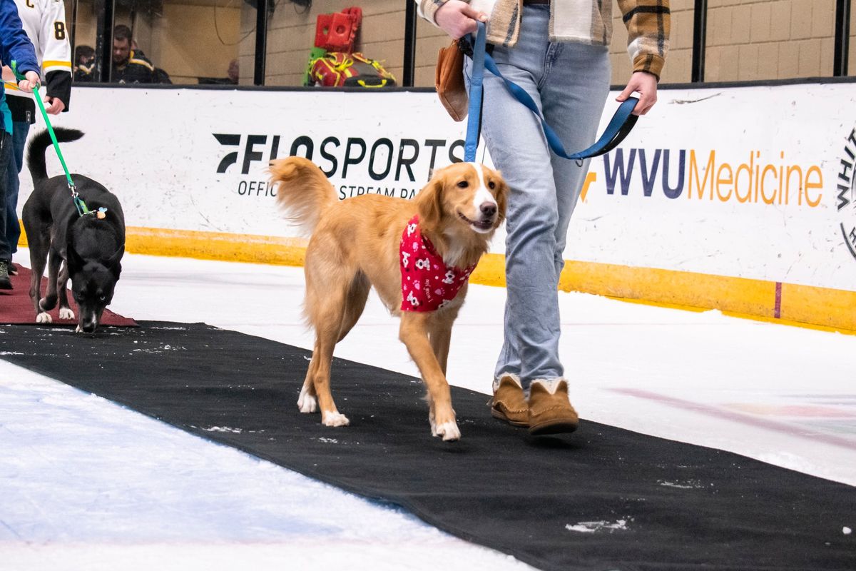 Pups & Pucks Night 