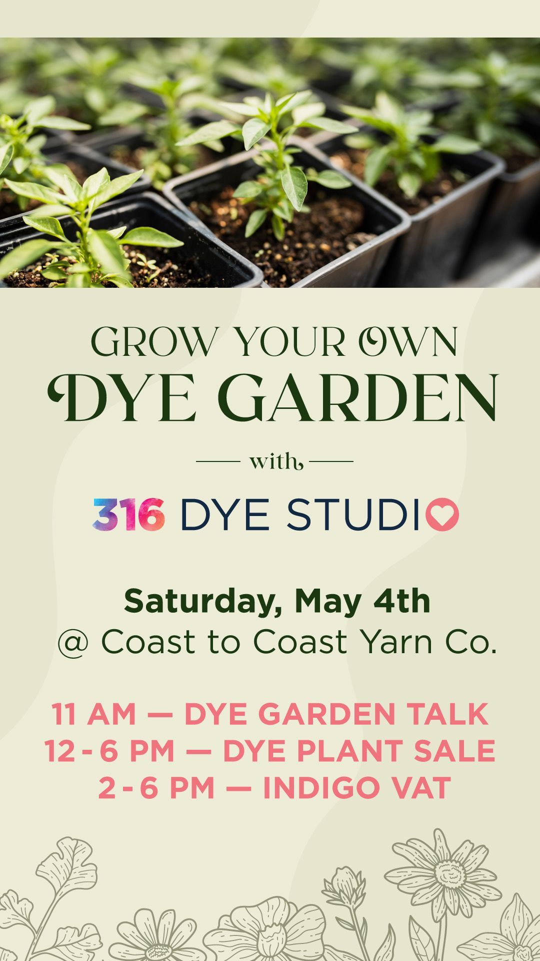 Grow Your Own Dye Garden