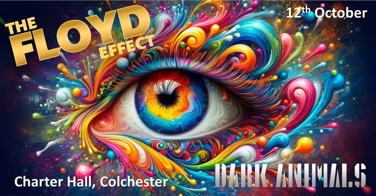 The Floyd Effect - The Pink Floyd Show - at the Charter Hall, Colchester