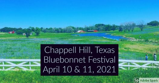 Chappell Hill Bluebonnet Festival Chappell Hill Vol Fire Dept 10 April To 11 April Chappell Hill Bluebonnet Festival 2022