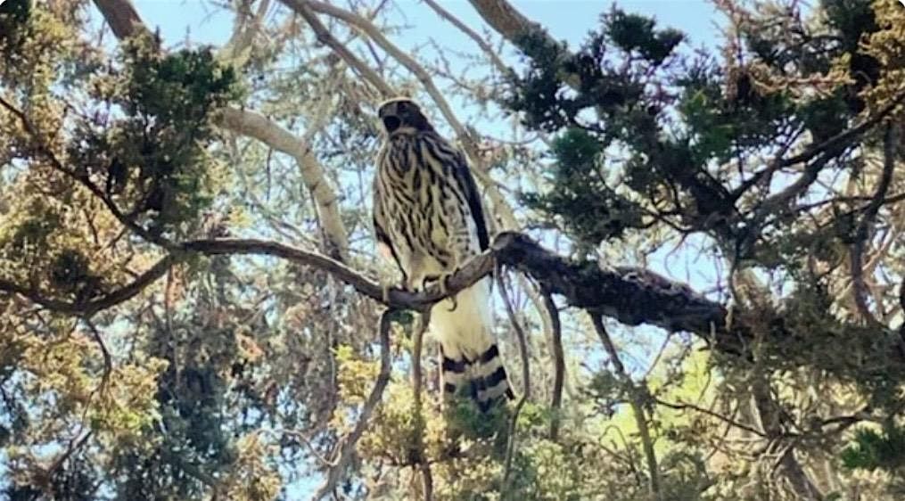Summer Nature Walk @ Fairhaven Memorial Park