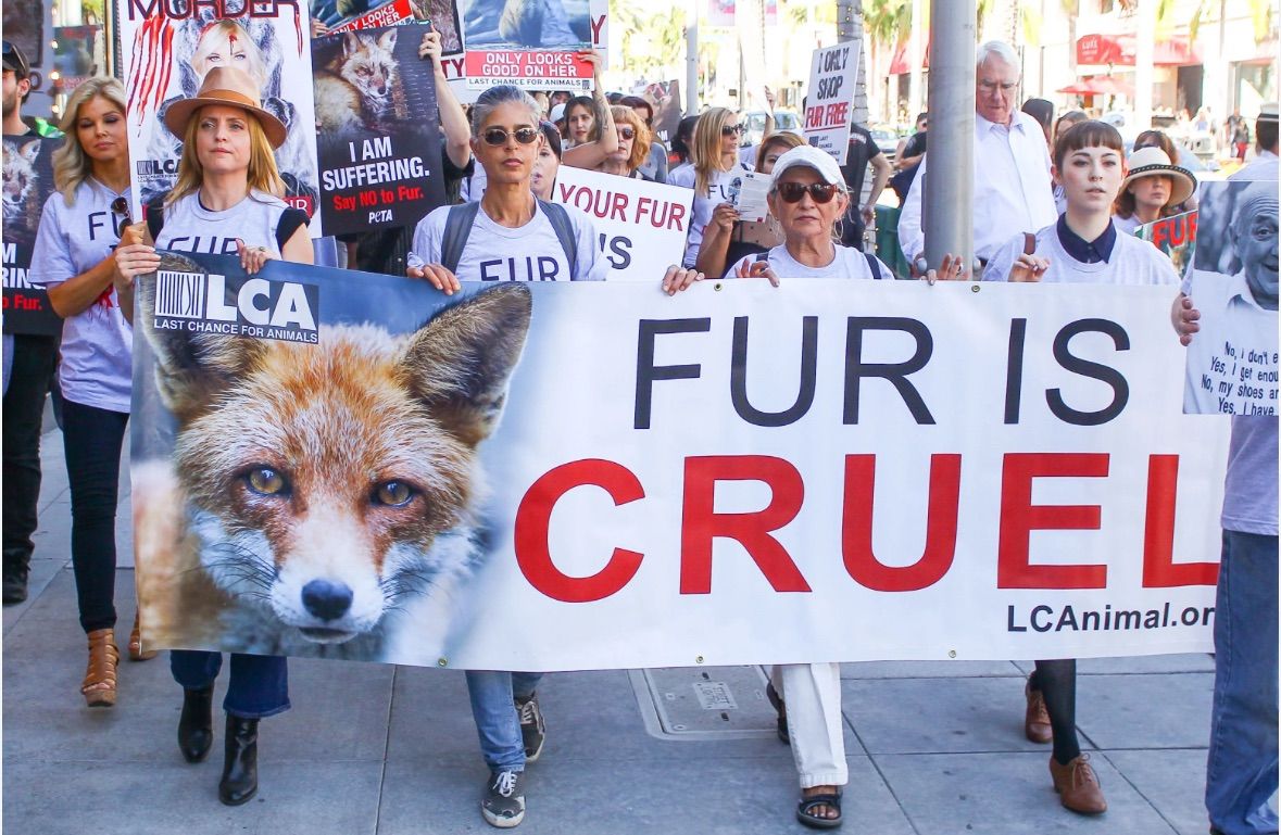 DC Fur-Free Friday: Loro Piana Protest