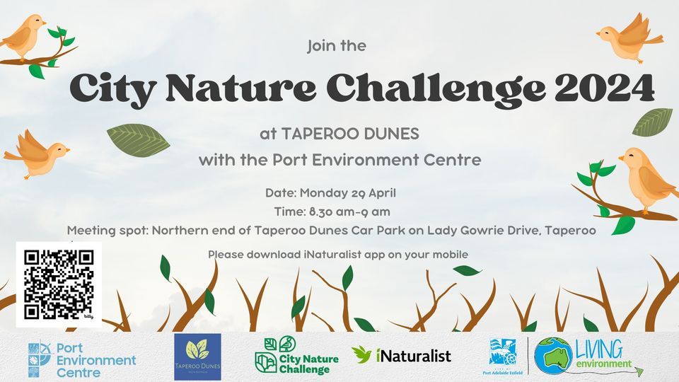 Taperoo Dunes City Nature Challenge