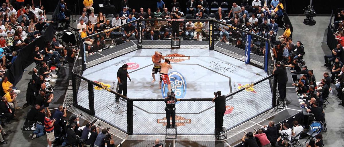 UFC 329 at T-Mobile Arena