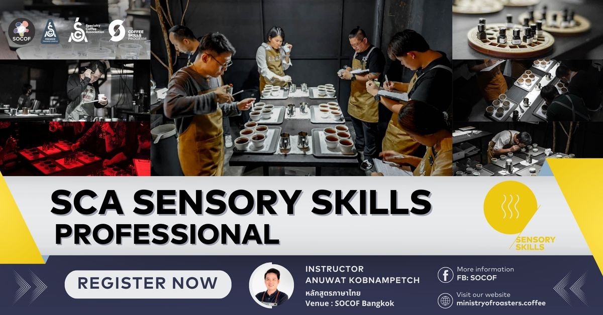 SCA Sensory Skill Professional #6 18-20 Jun 2024