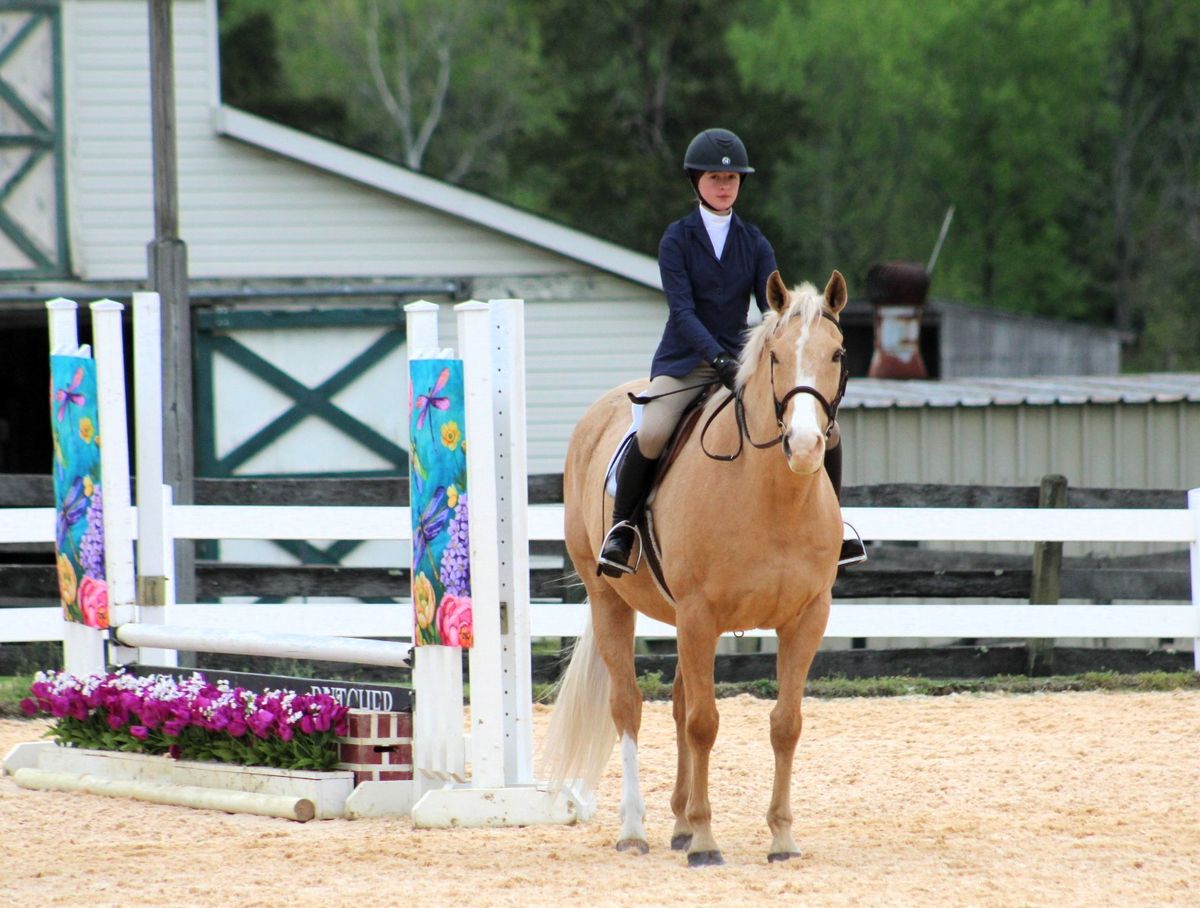 Hazelwild Farm Horse Show- Last Show of the Season