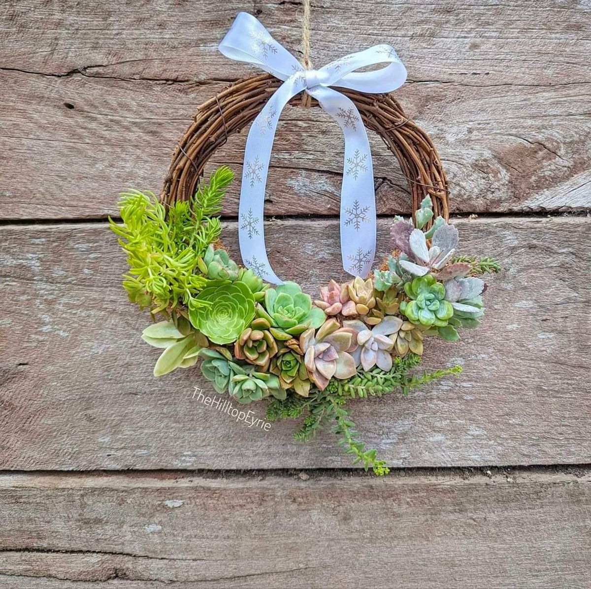 Creative Succulent Wreath Workshop 