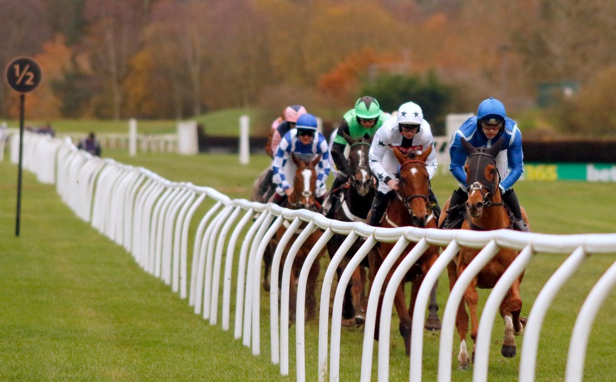 Afternoon Racing at Market Rasen Racecourse 