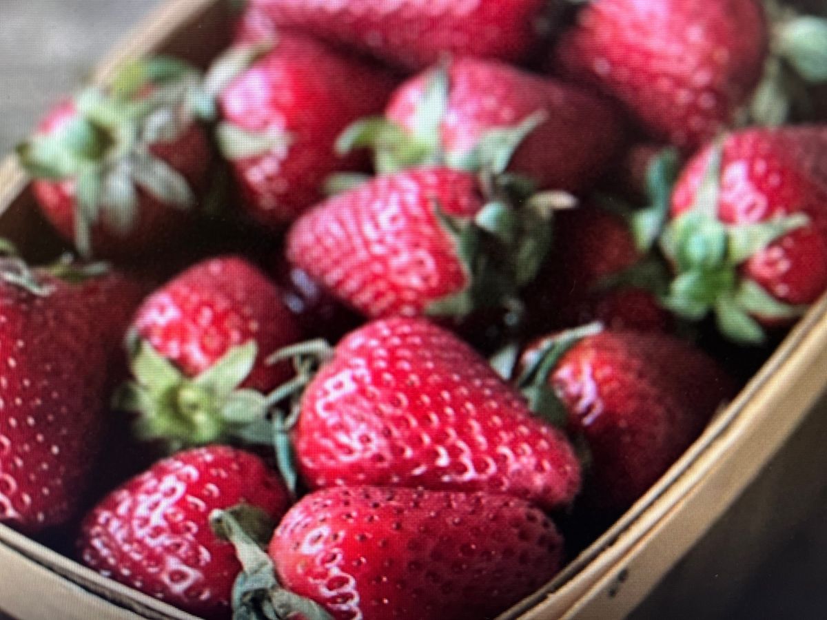 Preserving Your Strawberry Harvest-Asheville 