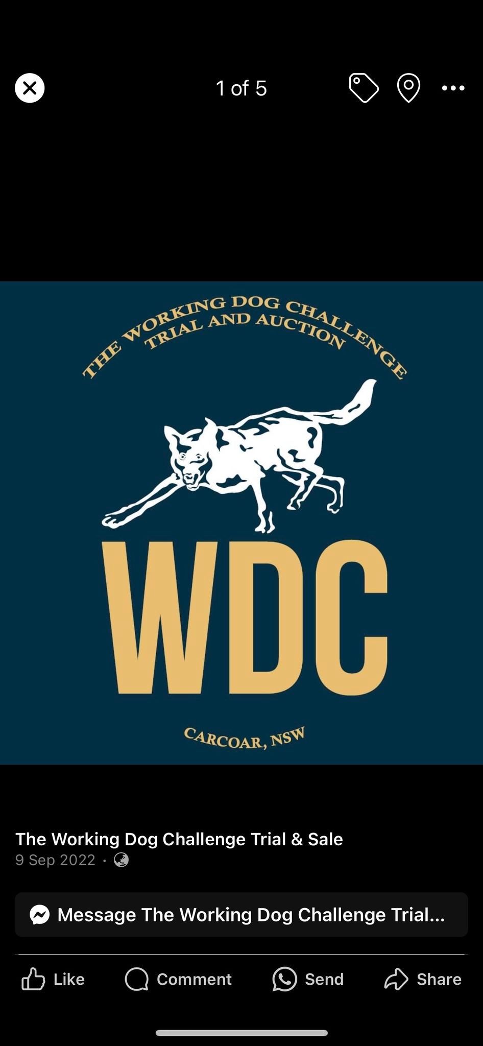 The WDC 2024