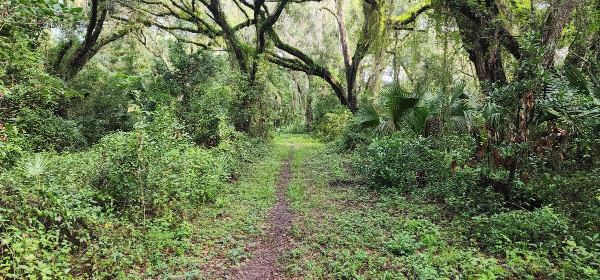 Landbridge Trail 5k