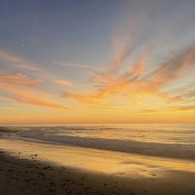 San Diego Science and Nature Group
