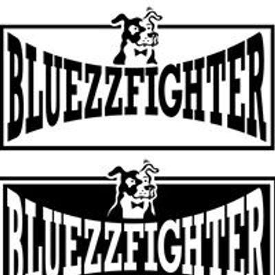 BlueZzFighter