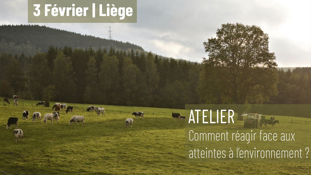 Atelier - Li\u00e8ge : Comment r\u00e9agir face aux atteintes \u00e0 l'environnement