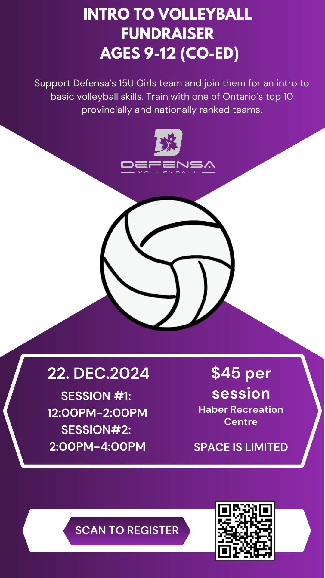 Intro to Volleyball Skills session