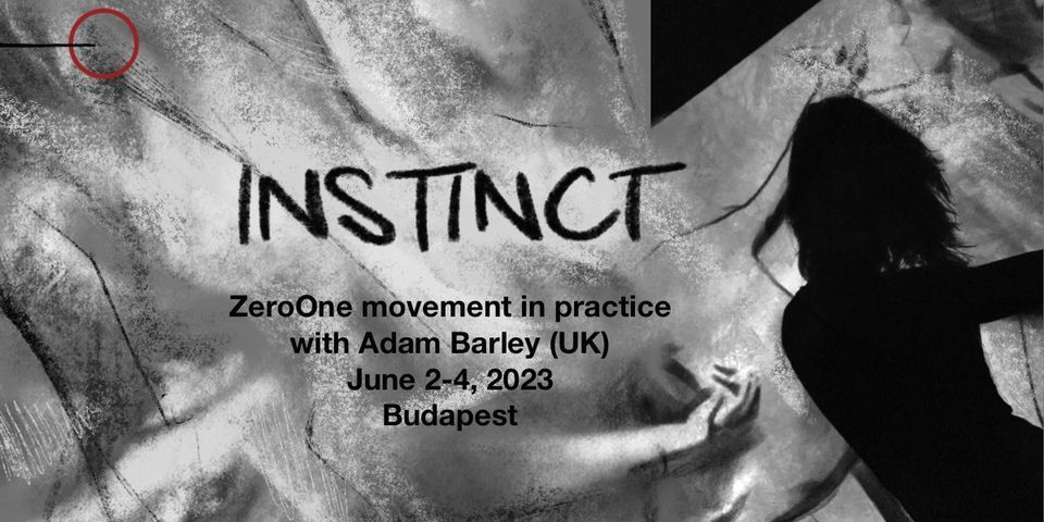 INSTINCT \/ \u00d6SZT\u00d6N - ZeroOne workshop with Adam Barley