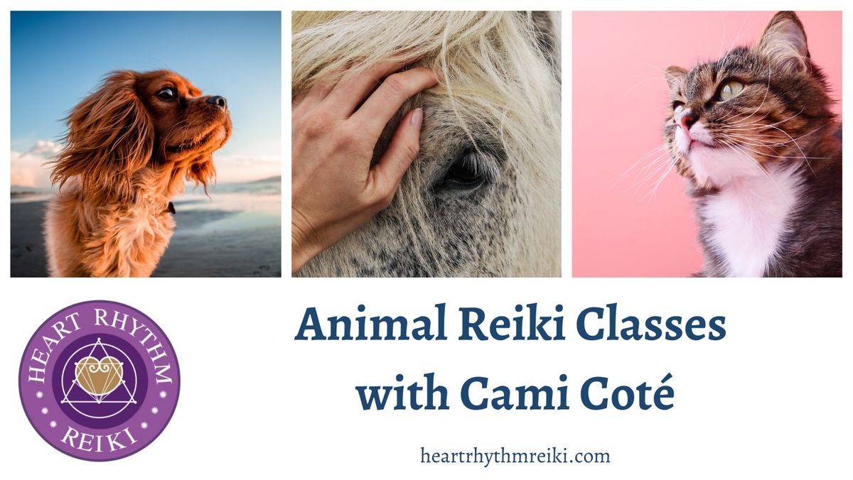 ICRT Animal Reiki 1 & 2 Training with Cami Cote (in-person in Missoula or online)