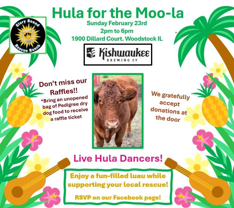 Hula for the Moo-la