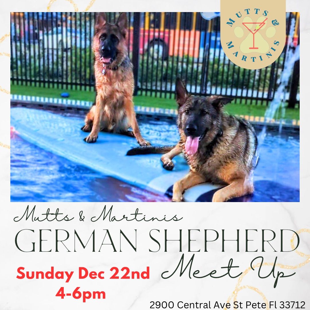 German Shepherd Meet Up at Mutts & Martinis