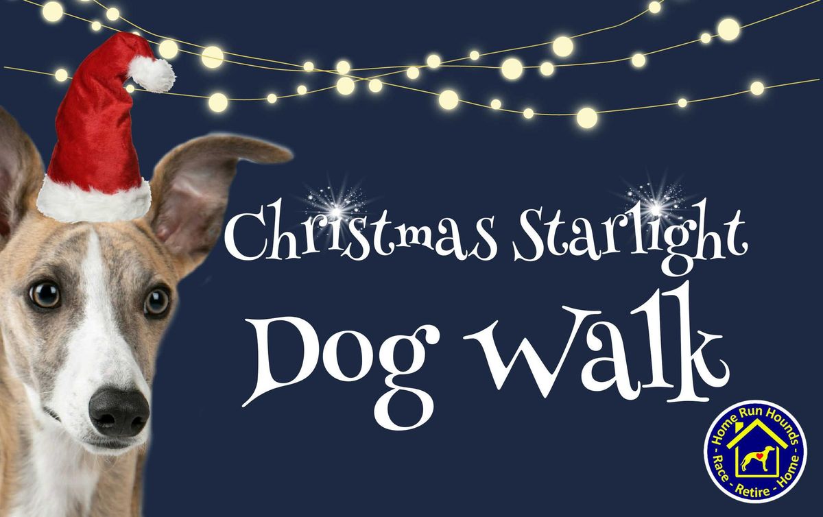 Christmas Starlight Dog Walk