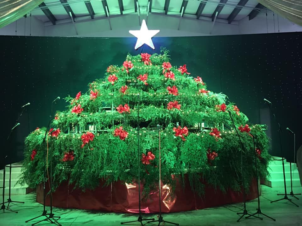 The Singing Christmas Tree