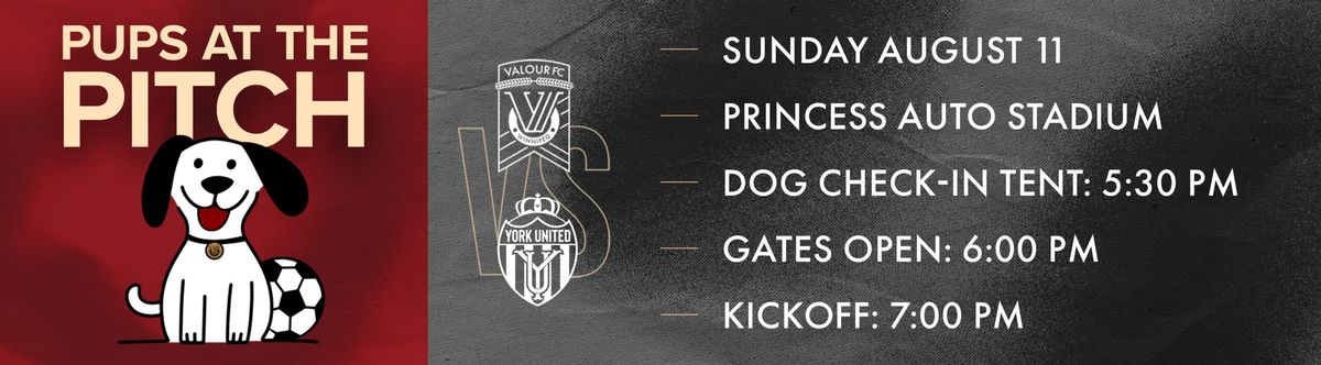 Valour FC vs. York United FC