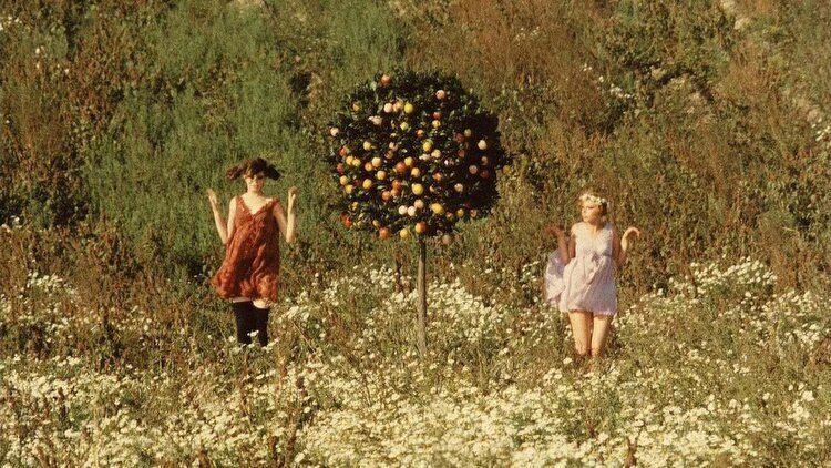 Daisies (1966)