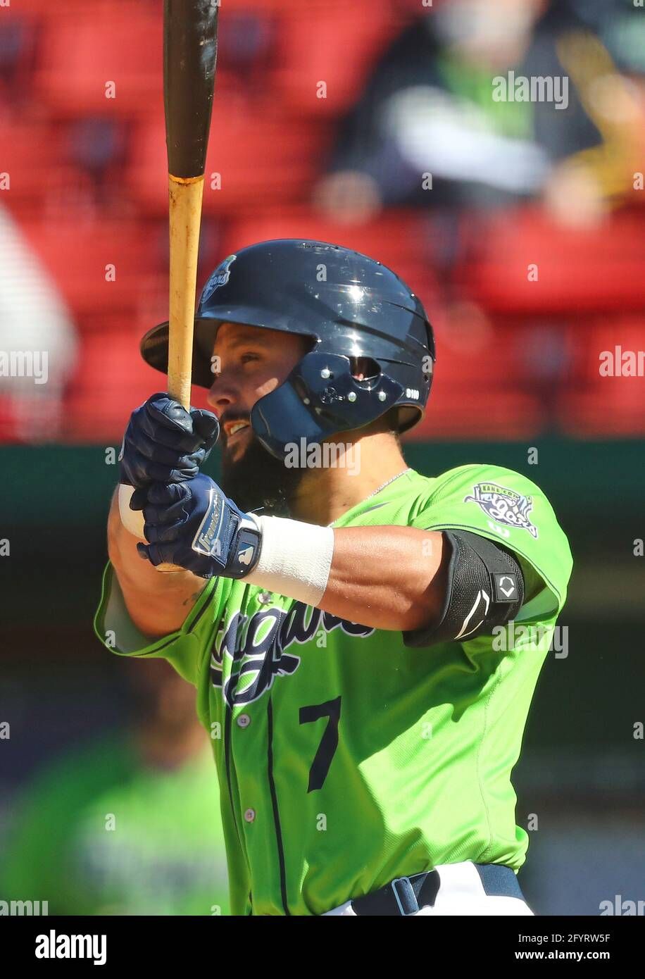 Kane County Cougars vs. Winnipeg Goldeyes