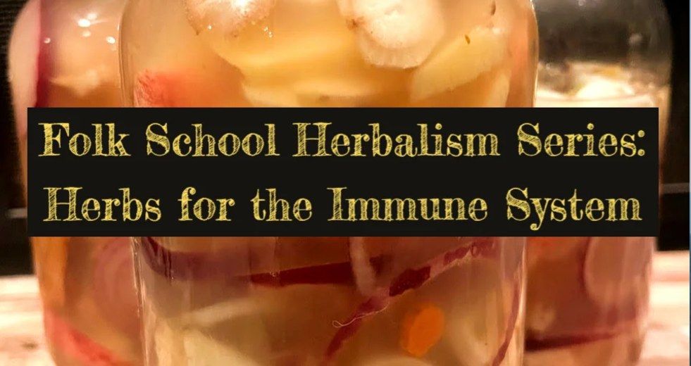 Herbalism Series : Herbs for the Immune System