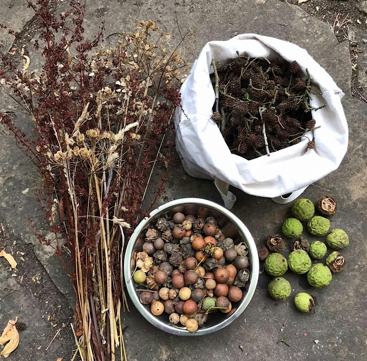 Wild Colour, Natural Ink Workshop