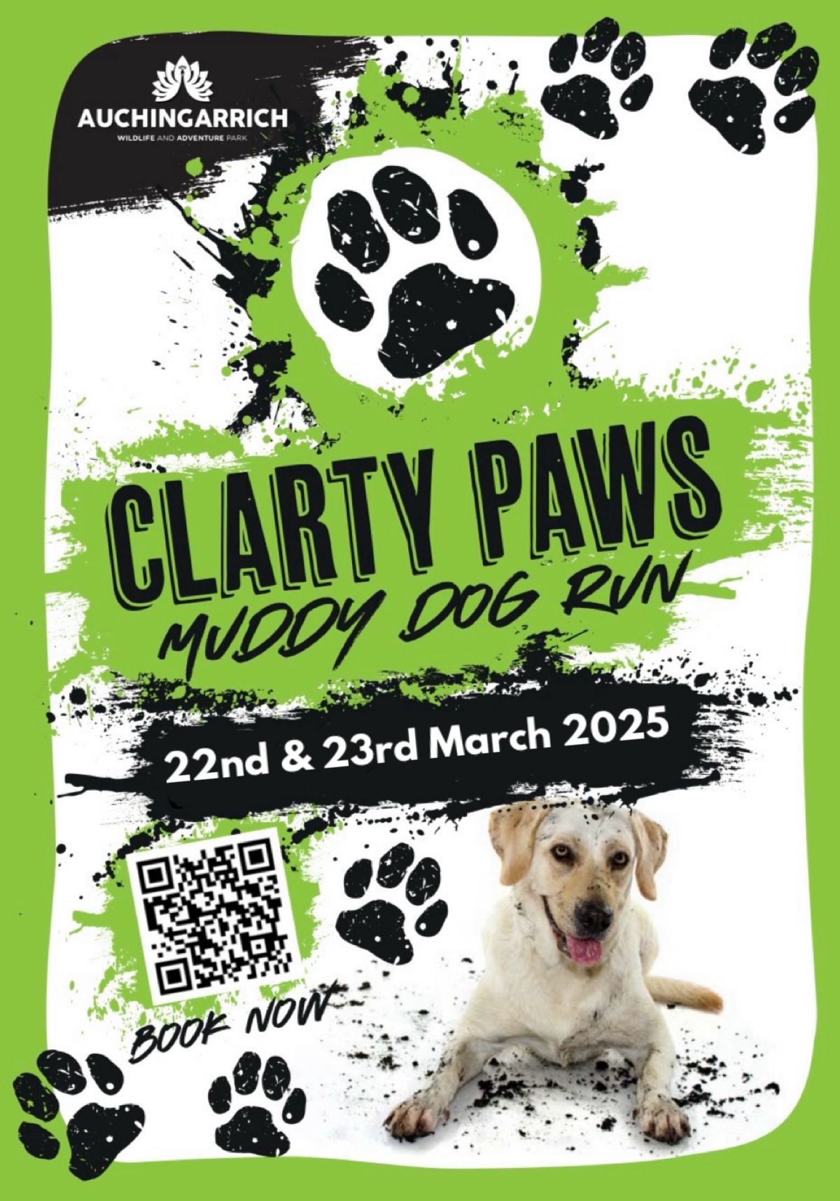 Clarty Paws Muddy Dog Run