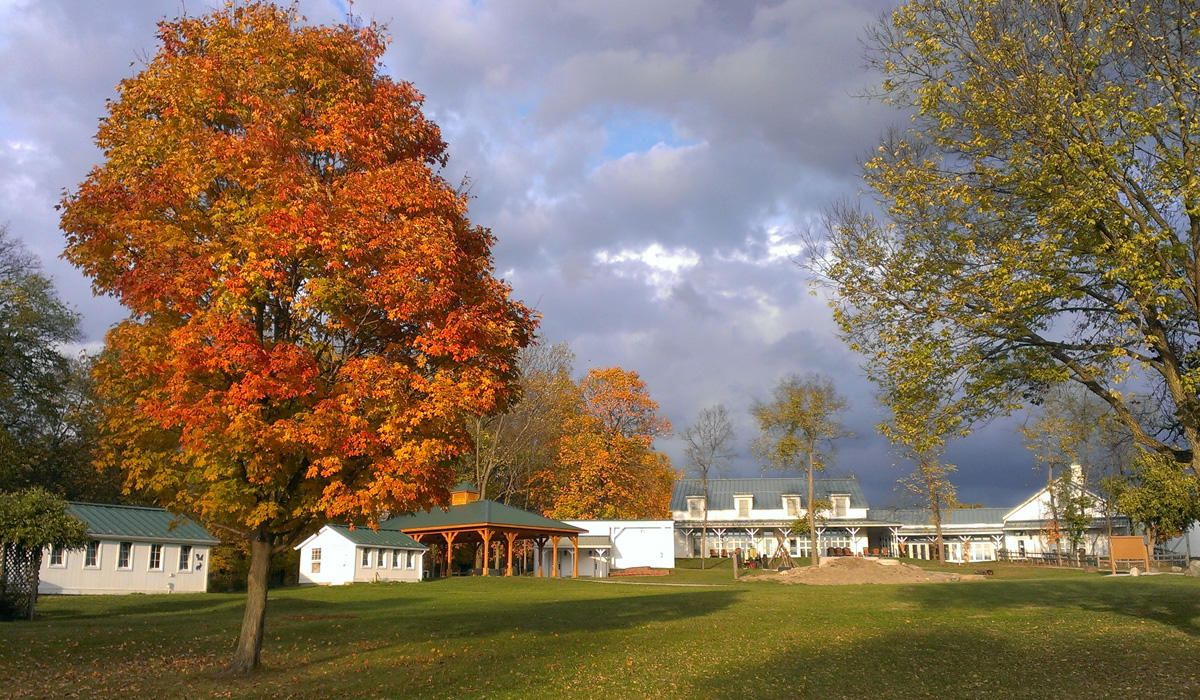 Aullwood Audubon Land & Legacy Mosaic - FREE Admission Day!