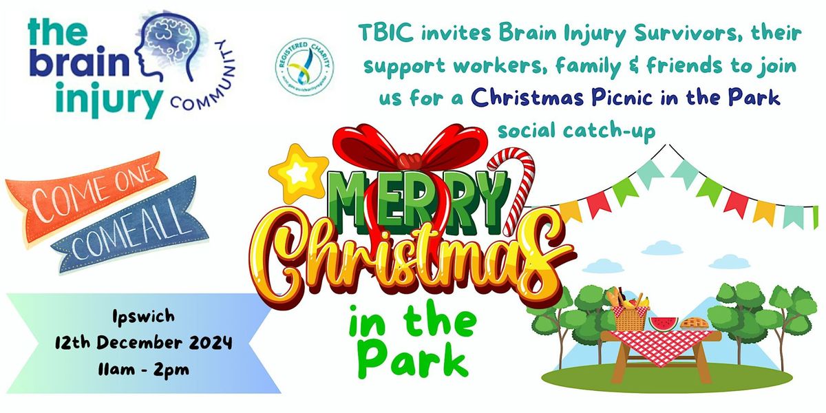 TBIC Christmas Picnic in the Park - Ipswich