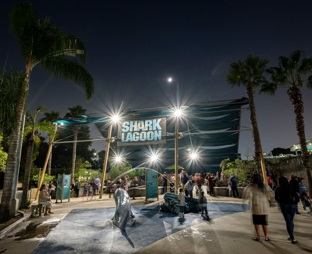 Free Shark Lagoon Nights