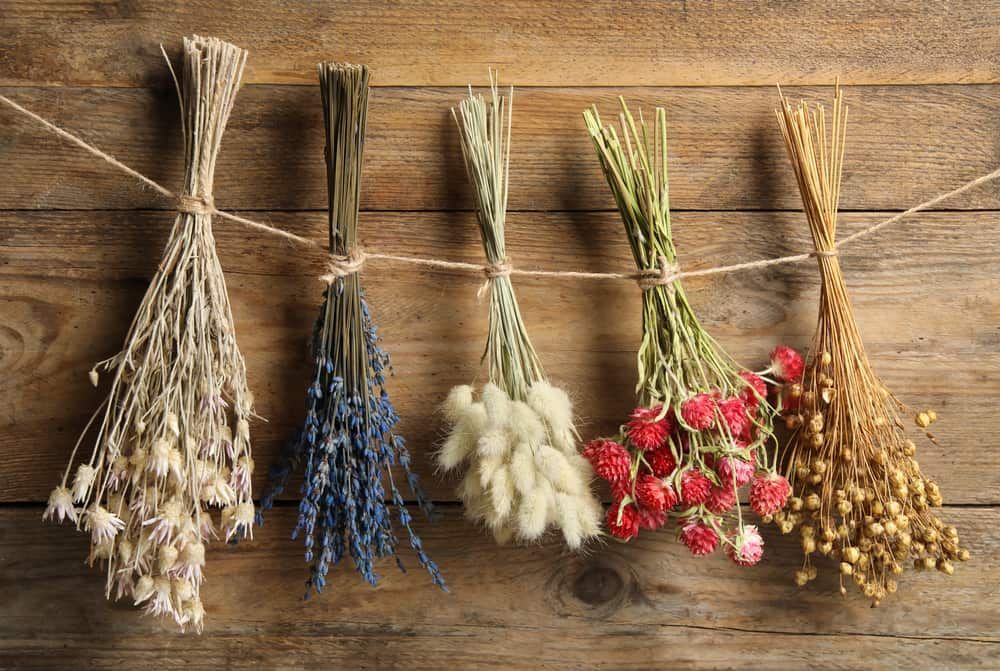 Dried Flower Workshop