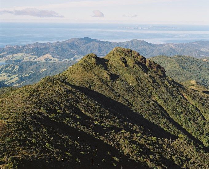 Yokai Talks: Scott Bainbridge: Maeroero \u2013 giants and monsters of the New Zealand forest