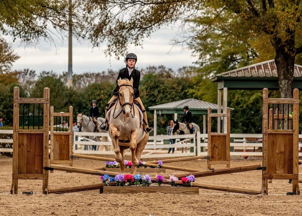 Enlightened Equestrian AAHJA Show