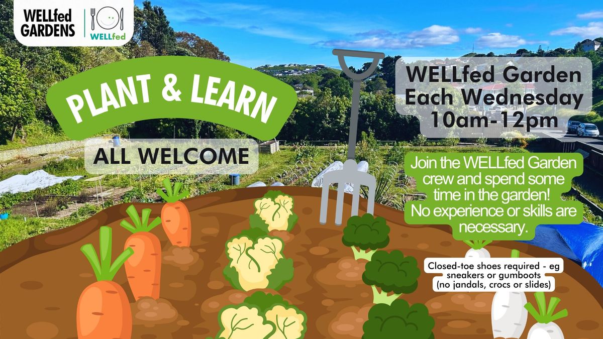 Plant and Learn in the WELLfed Garden