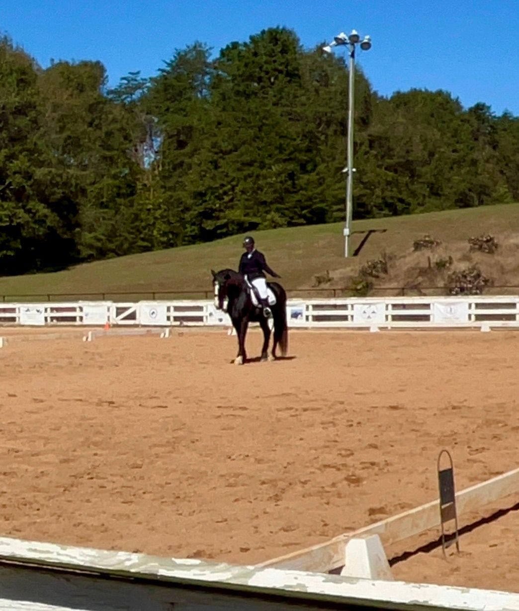 LCHA Dressage Show