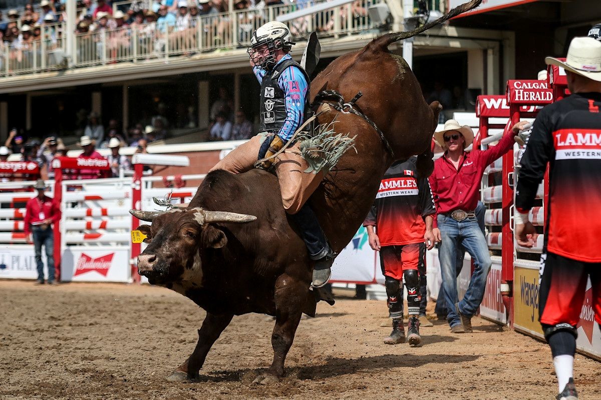 Buck Stampede Rodeo & Bull Riding