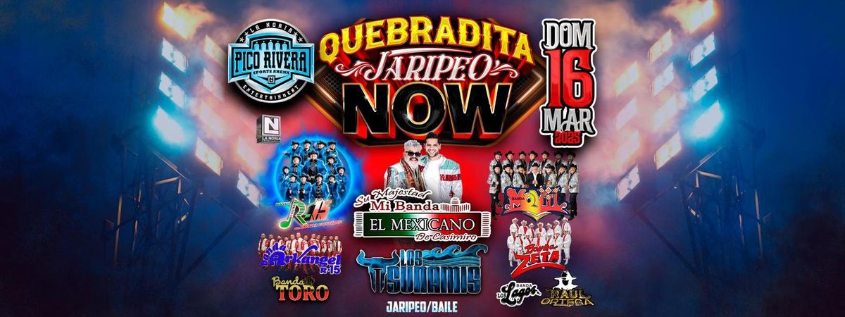 QUEBRADITA JARIPEO NOW