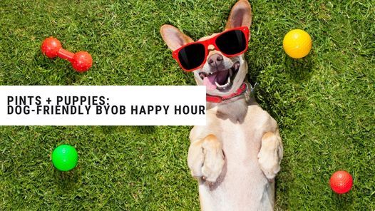 Pints + Puppies: Dog-Friendly BYOB Happy Hour