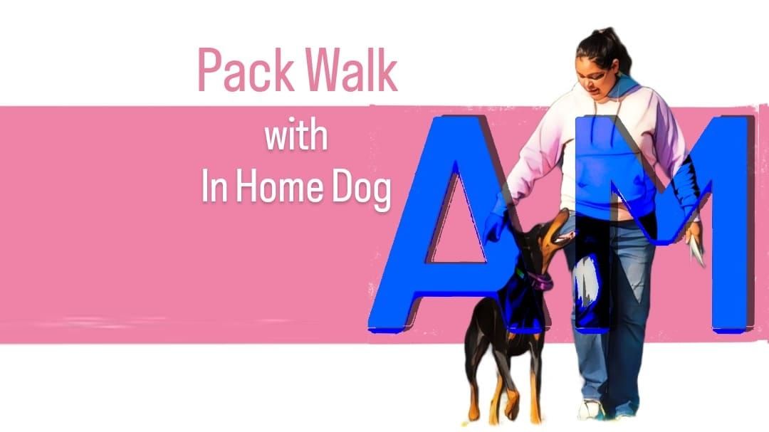 10A Pack Walk: June 2024