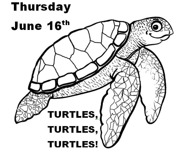 Celebrate Turtles!