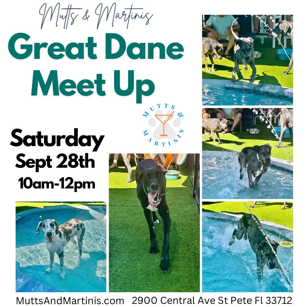 Great Dane Meet Up at Mutts & Martinis